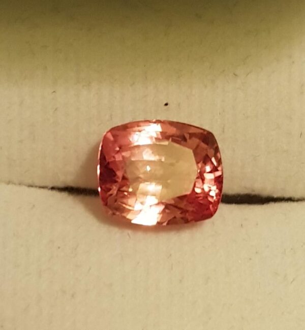 WhatsApp Image 2023-02-14 at 21.31.02 WhatsApp Image 2023-02-14 at 21.31.02