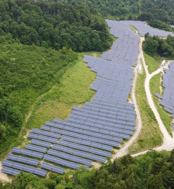 WhatsApp Image 2023-02-14 at 21.20.05