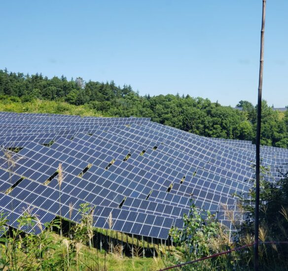 WhatsApp Image 2023-02-14 at 21.20.10