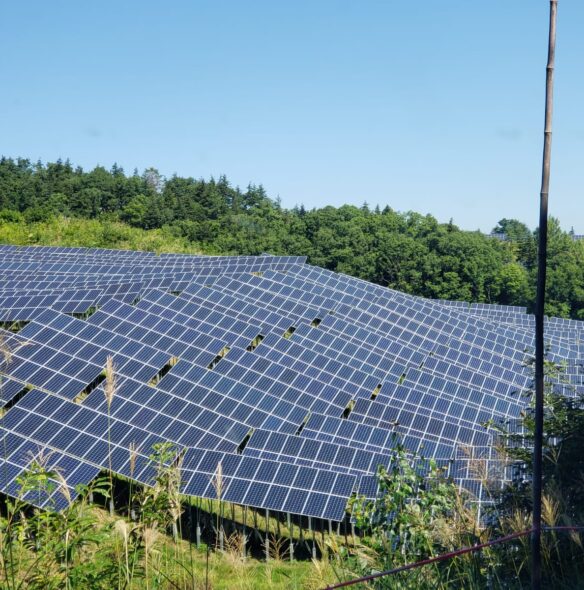 WhatsApp Image 2023-02-14 at 21.20.10 WhatsApp Image 2023-02-14 at 21.20.10